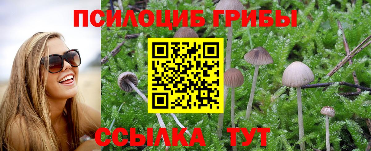 Псилоцибиновые грибы MAGIC MUSHROOMS  Вход с VPN  Клинцы 